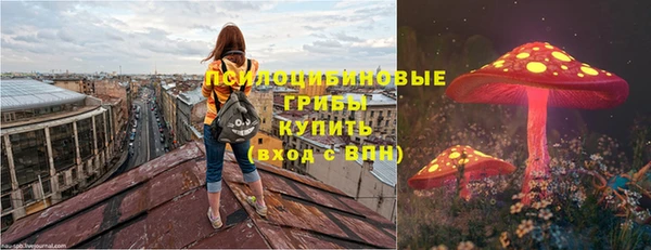 мдпв Заволжье