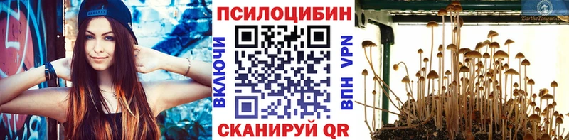 Псилоцибиновые грибы Psilocybine cubensis  сколько стоит  Калач-на-Дону 