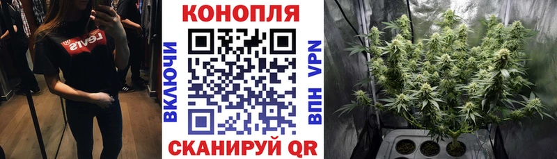 купить закладку  hydra зеркало  Канабис ГИДРОПОН  Калач-на-Дону 